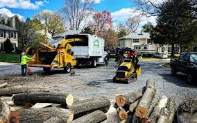 Best Lawn Drainage Solutions  in Rockport, IN