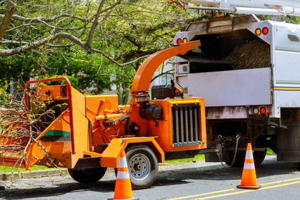 Best Commercial Tree Services  in Rockport, IN