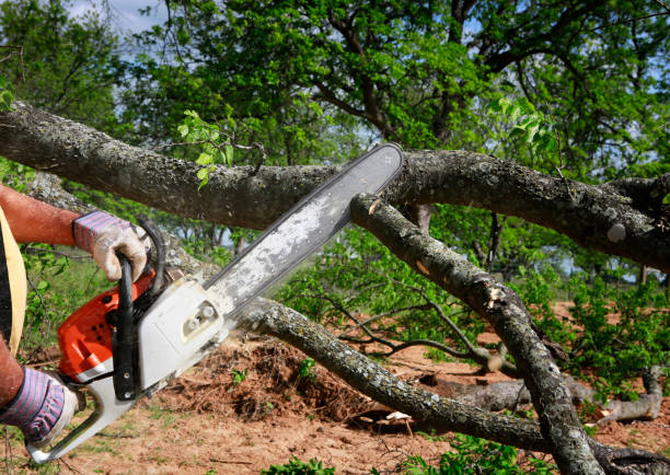 Organic Lawn Care Solutions in Rockport, IN